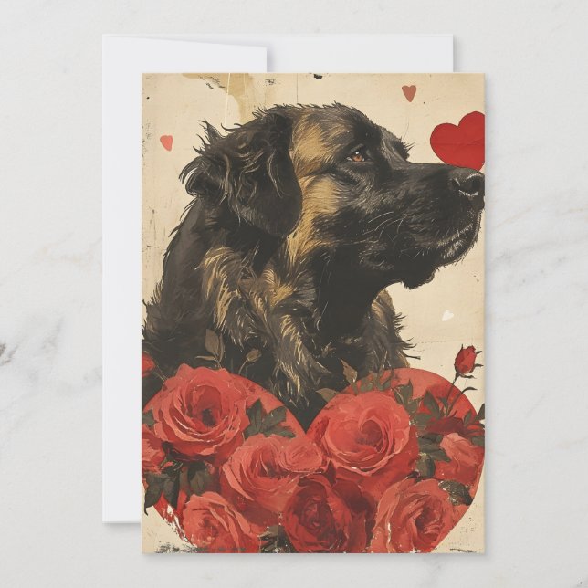 Leonberger Vintage Valentine's day  Holiday Card (Front)
