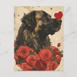 Leonberger Vintage Valentine's day  Postcard