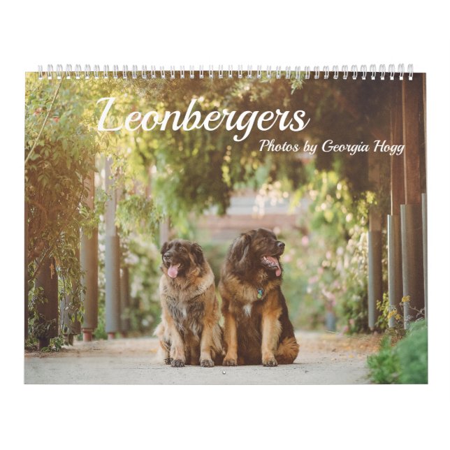 Leonbergers Calendar (Cover)
