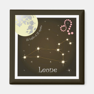 Leone 23 luglio al 22 agosto magnet