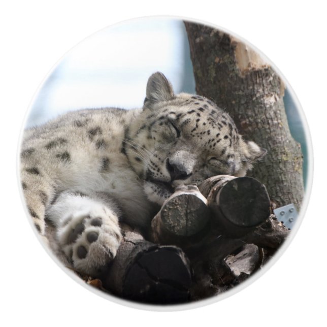 Leopard 002 ceramic knob (Front)
