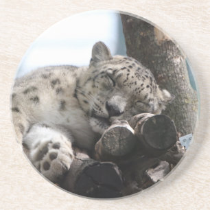 Leopard 002 coaster