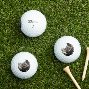 Leopard 002 golf balls