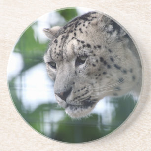 Leopard 003 coaster