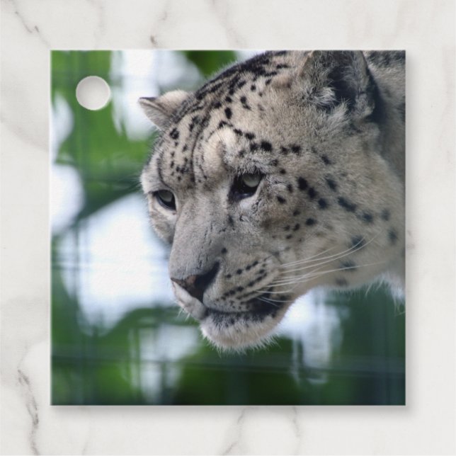 Leopard 003 favour tags (Front)