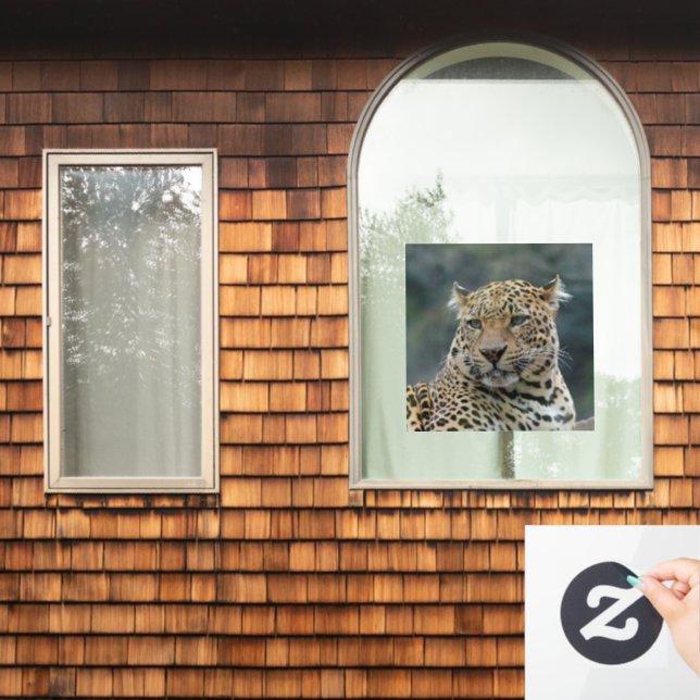 Leopard 006 (Home Window)