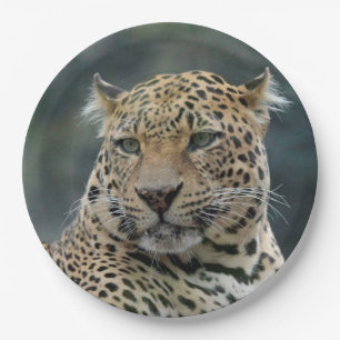 Leopard 006 paper plate