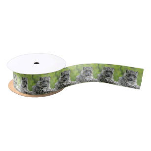Leopard_2015_0310 Satin Ribbon