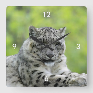 Leopard_2015_0310 Square Wall Clock