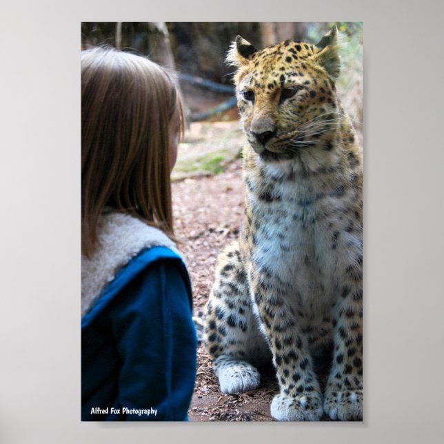 Leopard and Child Poster (Front)