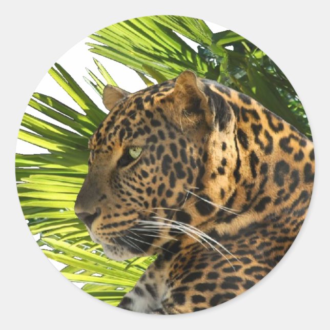 LEOPARD AND PALMS CLASSIC ROUND STICKER (Front)