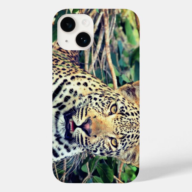 Leopard, animal Case-Mate iPhone case (Back)