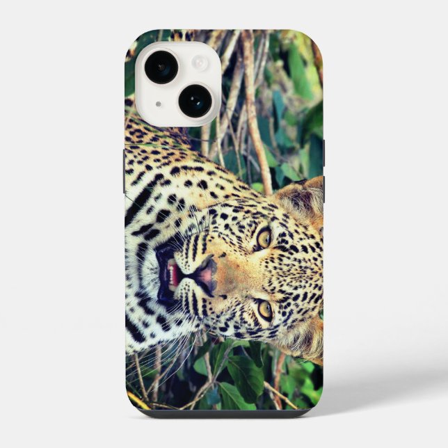 Leopard, animal iPhone case (Back)