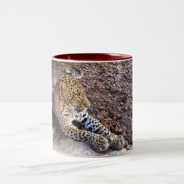 Leopard at rest Two-Tone coffee mug (Center)
