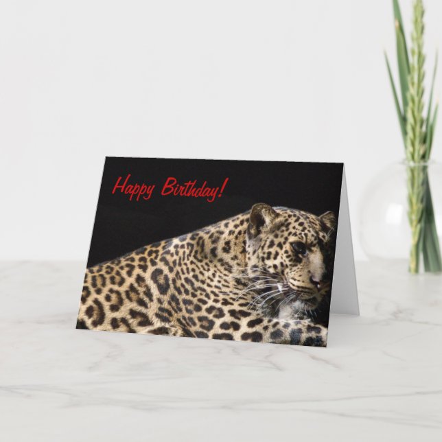 Leopard Birthday Card (Front)