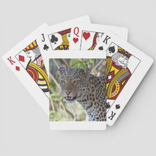 Leopard Cat Animal Africa Jungle Country Destiny Playing Cards