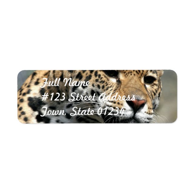 Leopard Cat Mailing Labels (Front)