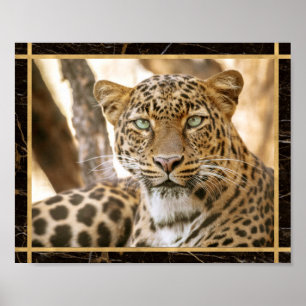 Leopard Cat Photo Image Print Poster