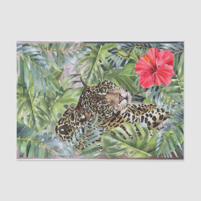 Leopard Cat Tissue Paper (Front)