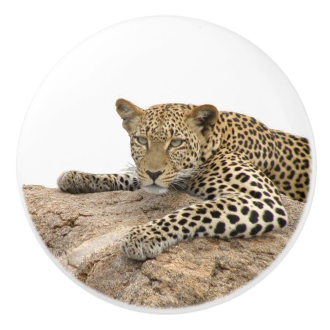 Leopard Ceramic Knob, right (Pull for Cabinet) Knob (Front)