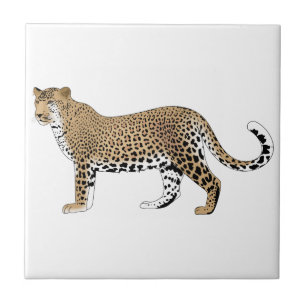 Leopard Ceramic Tile