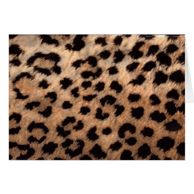 Leopard Cheetah Animal Print Girly Modern Trendy (Front Horizontal)