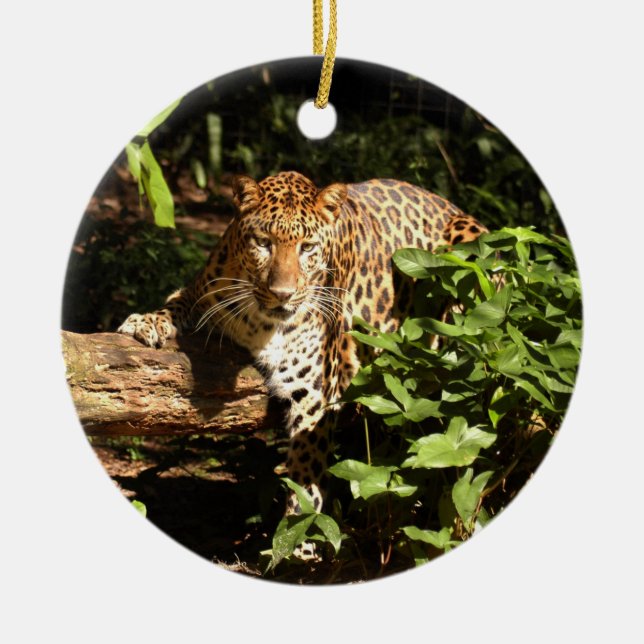 Leopard Christmas Ornament (Front)