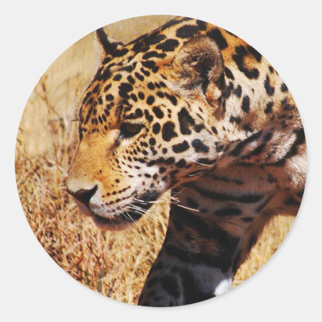Leopard Classic Round Sticker (Front)