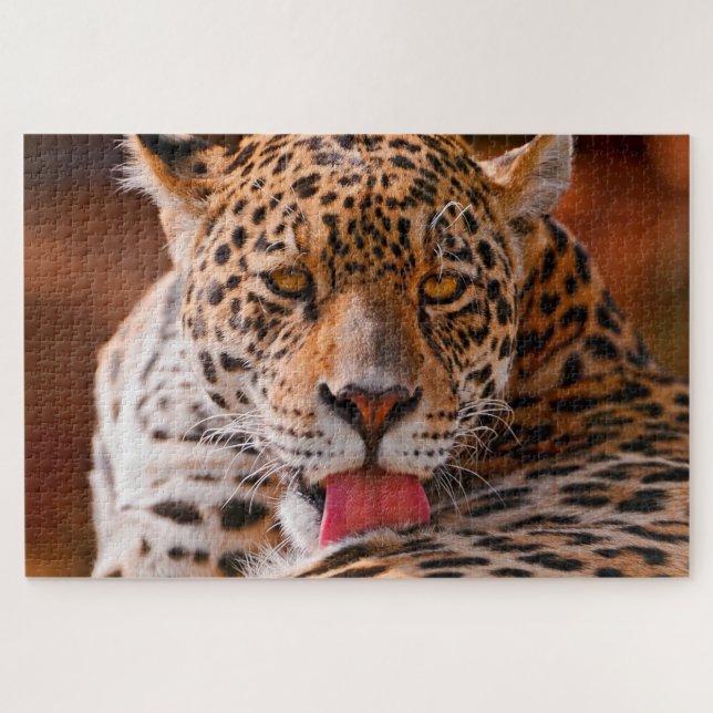 Leopard cleaning his paws on the ground jigsaw puzzle (Horizontal)