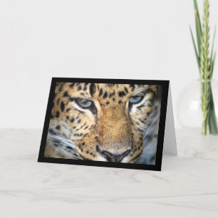 Leopard Close Up Card