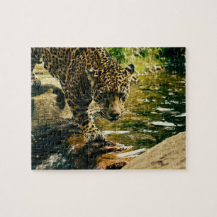 Leopard Crossing a Stream Jigsaw Puzzle