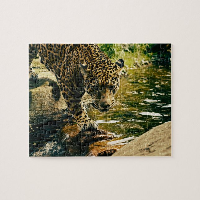 Leopard Crossing a Stream Jigsaw Puzzle (Horizontal)