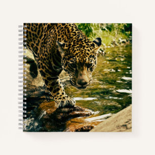 Leopard Crossing a Stream Photograph Notebook
