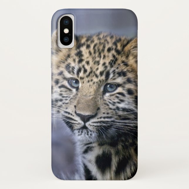 Leopard Cub iPhone X Case (Back)
