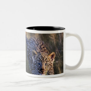 Leopard Cub Panthera Pardus Two-Tone Coffee Mug