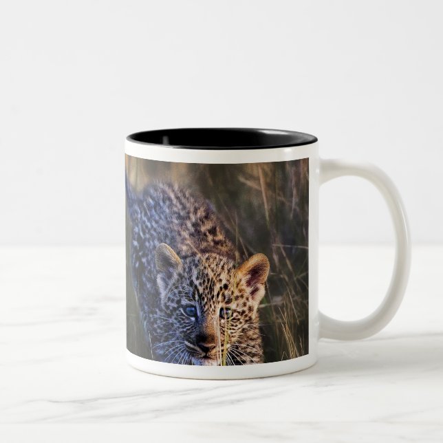 Leopard Cub Panthera Pardus Two-Tone Coffee Mug (Right)