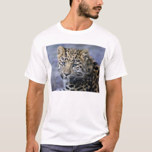 Leopard Cub Tee