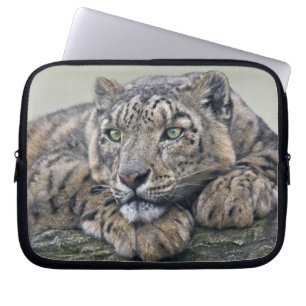 Leopard Dreaming Laptop Sleeve