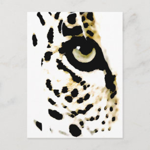 Leopard Eye Postcard