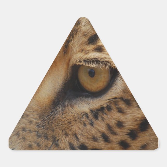 Leopard Eye Triangle Sticker (Front)