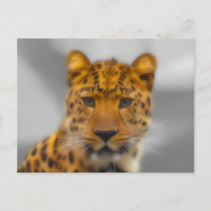 Leopard Face Postcard