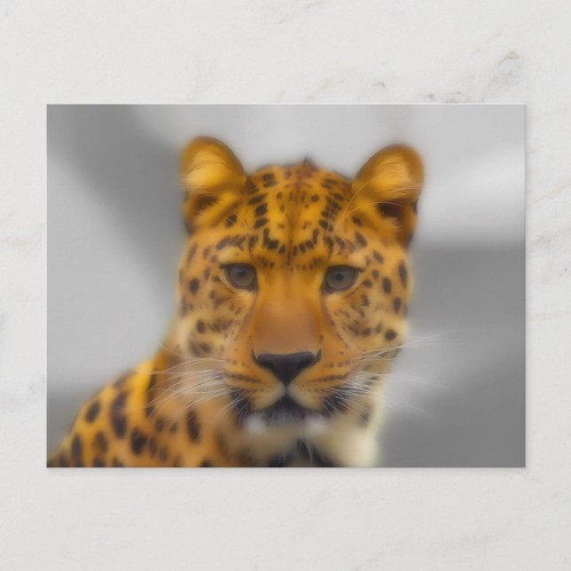 Leopard Face Postcard (Front)