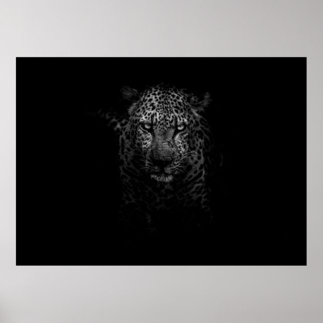 LEOPARD FACE POSTER (Front)