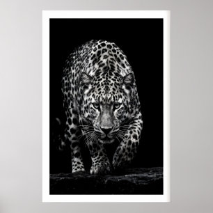 Leopard Face Wall Art Monochrome Wildlife Print