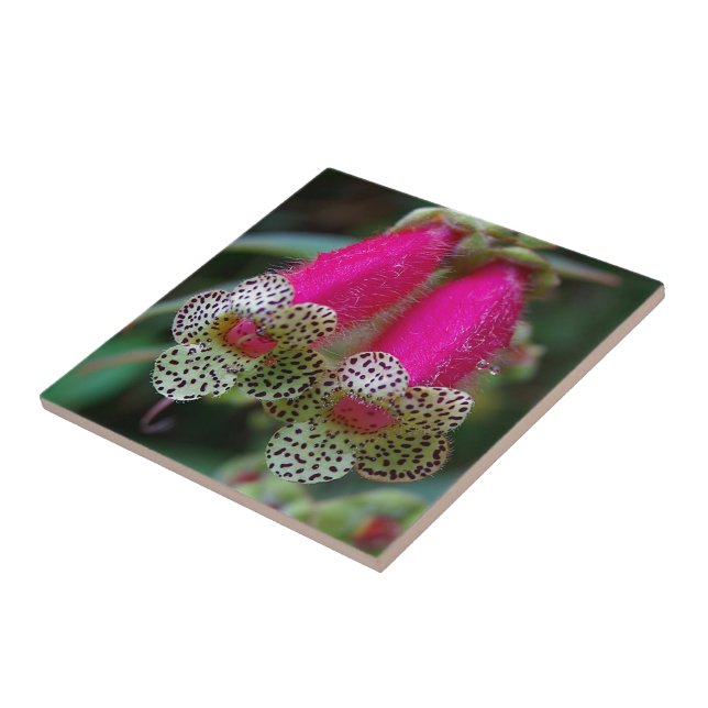Leopard Flower Design Tile (Side)