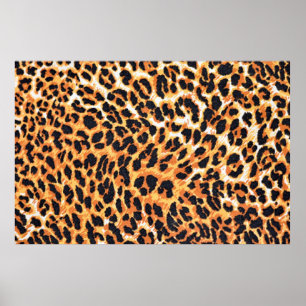 leopard fur as backgroundleopard,pattern,print,ski poster