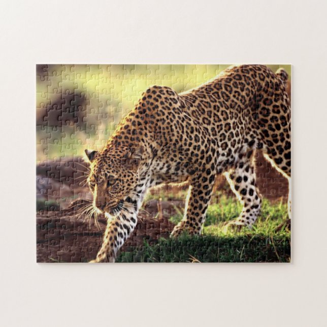 Leopard Game Puzzle (Horizontal)