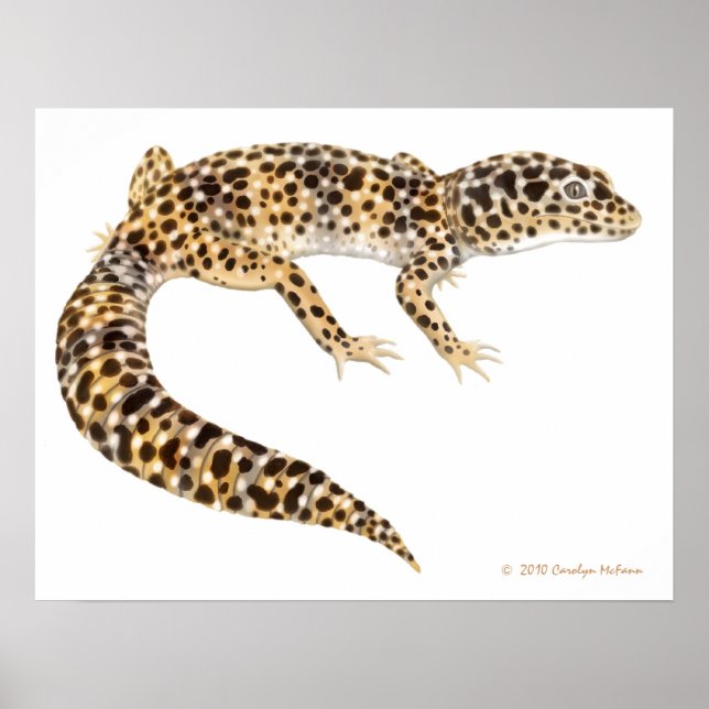 Leopard Gecko Art Print (Front)
