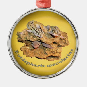 Leopard gecko design for all! metal tree decoration
