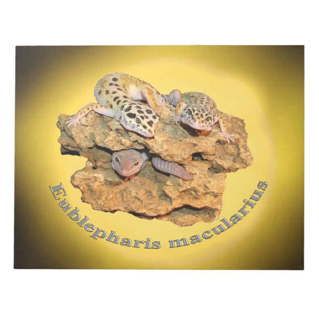 Leopard gecko design for all! notepad (Front)